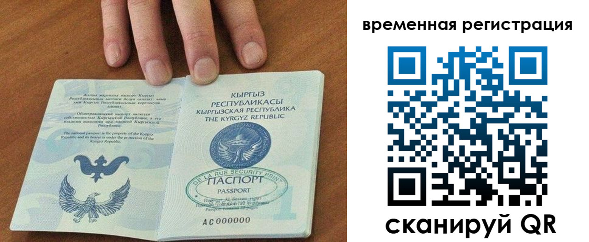 где прописаться в Александрове